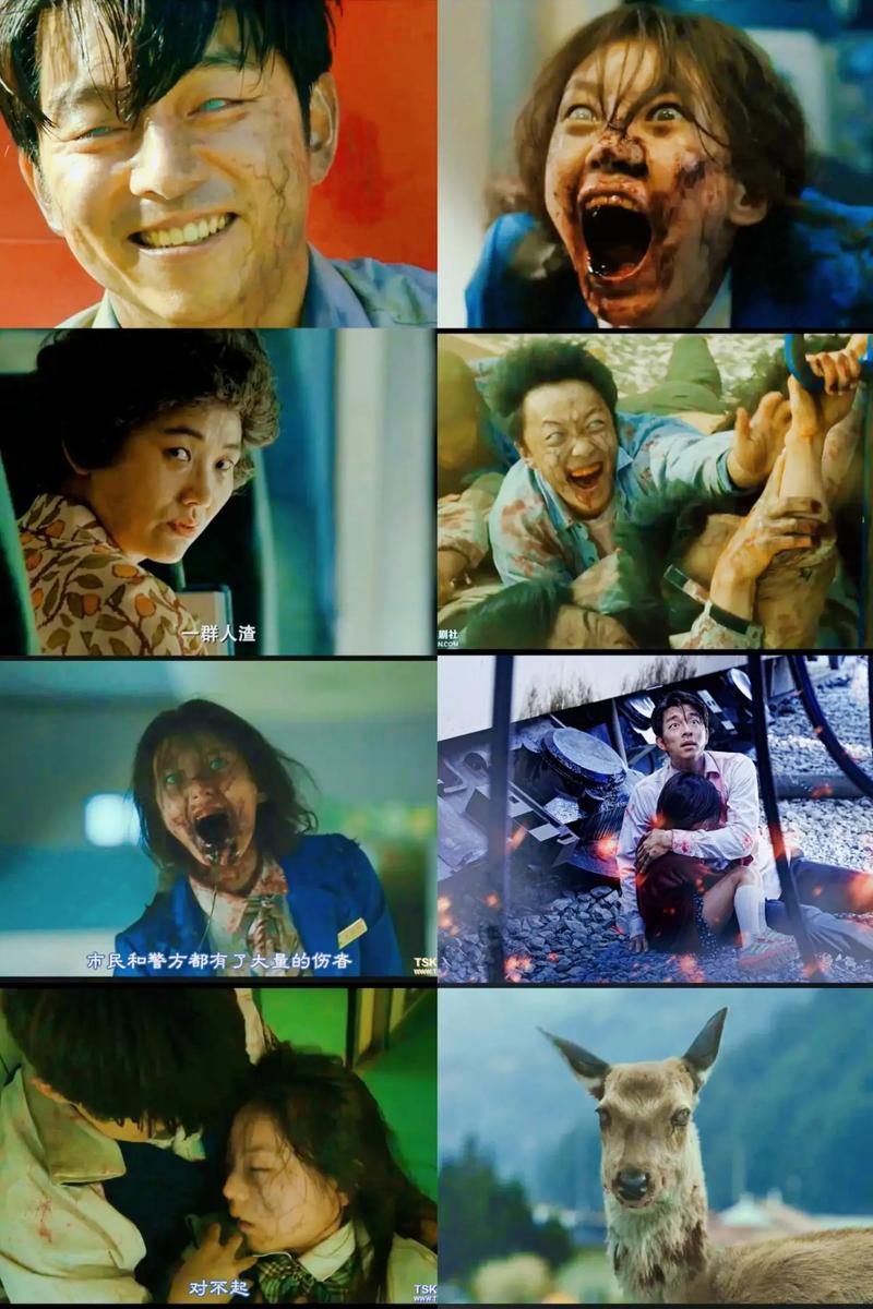《釜山行》免费观看全集 | 高清丧尸灾难片在线播放 | 韩国经典惊悚电影完整版 | 孔刘马东锡主演资源