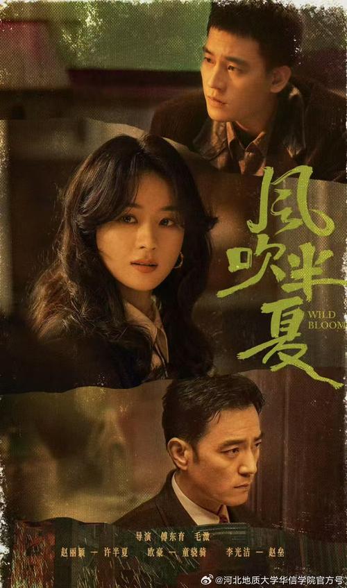 风吹半夏电视剧在线观看全集免费播放 | 赵丽颖商战大剧高清资源抢先看