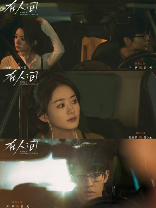 《在人间》电视剧免费观看完整版 | 在线高清资源 | 全剧集抢先看