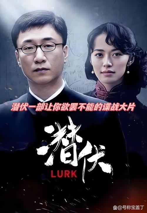 《电视潜伏30集免费观看 | 谍战剧经典全集在线看 | 高清无删减版》