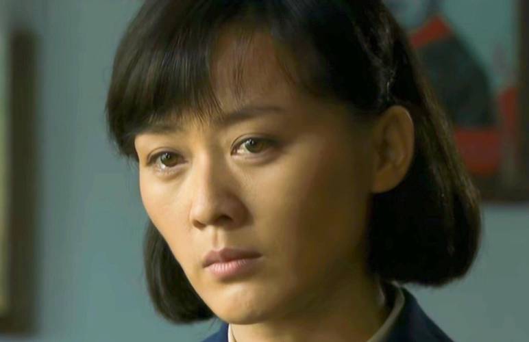 历史的天空电视剧全集免费观看 - 高清在线完整版 | 经典抗日剧 | 张丰毅主演全集资源