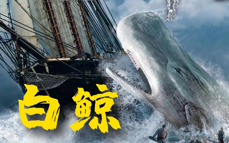 免费观看《白鲸》电影完整版 | 白鲸冒险电影在线资源 | 白鲸经典文学改编影片高清
