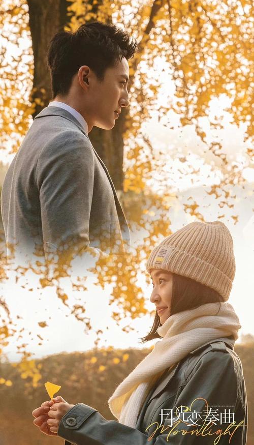 月光变奏曲电视剧免费观看高清版 | 全集在线播放 | 虞书欣丁禹兮甜宠剧