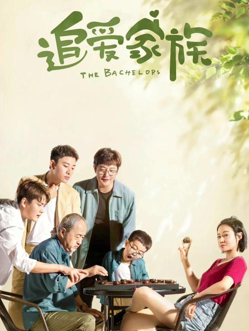 追爱家族电视剧免费观看全集在线播放，高清资源无广告抢先看
