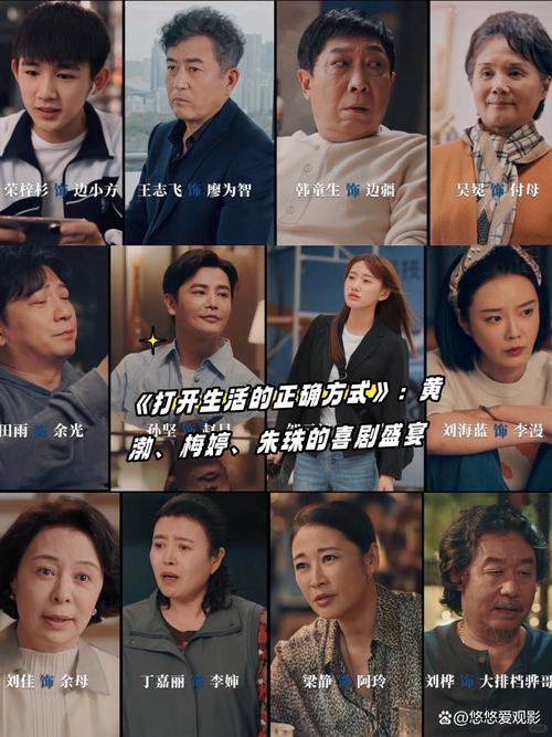 打开生活的正确方式免费观看 | 黄渤梅婷主演都市剧 | 家庭情感生活启示录