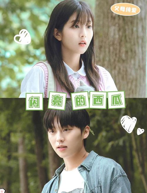 闪亮的西瓜电视剧免费观看：全集在线追剧，感受奇幻青春与亲情治愈之旅