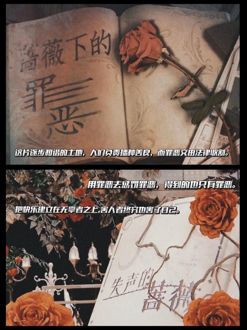 明星大侦探免费观看全集资源 | 在线追综不花钱 | 最新期高能案件抢先看