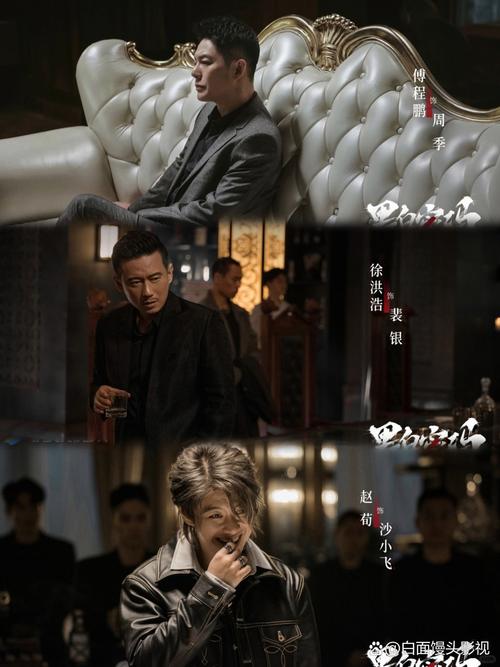 黑白密码电视剧免费观看全集高清 | 悬疑刑侦剧在线资源 | 高清无删减全集
