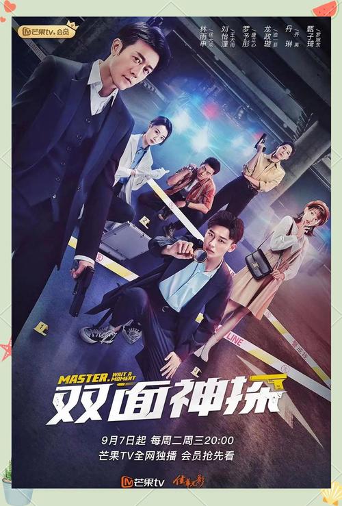 《双面神探》电视剧免费观看完整版|悬疑刑侦剧全集在线|徐璐王一博搭档破案