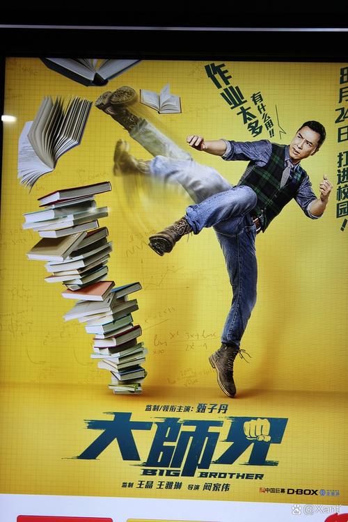大师兄电影免费观看在线播放,甄子丹热血校园动作片高清完整版