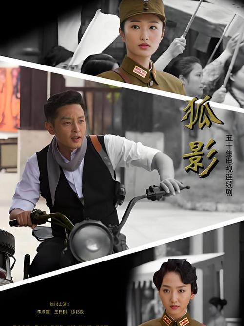 狐影电视剧全集免费观看 | 高清资源在线播放 | 抗战谍战剧完整版