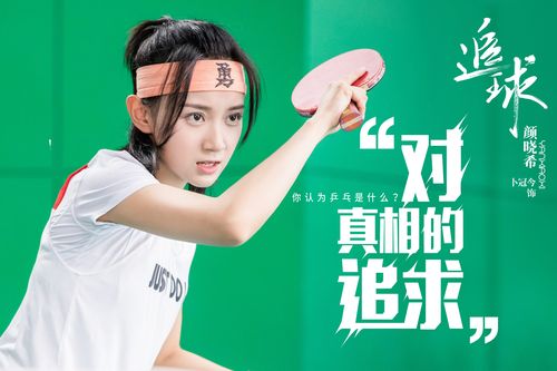 追球电视剧免费观看全集免费 | 在线高清完整版追球全集资源 | 追球全集免费追剧平台推荐