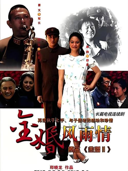 《金婚风雨情》免费观看全剧:跨越半世纪的婚姻经营之道与情感纠葛