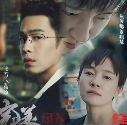 完美证据电视剧免费观看完整版 | 在线高清资源 | 全集未删减版